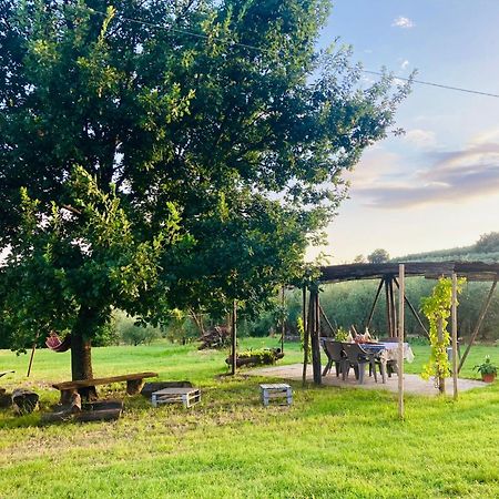 Bed and Breakfast La Casa Nell'Aia Monsummano Terme Esterno foto